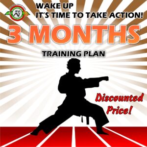 Discounted 3-Months Contract Martial Arts Training Plan
